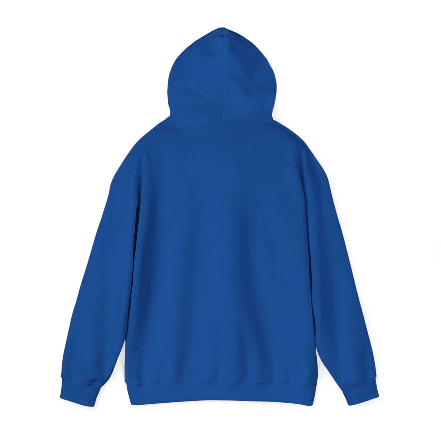 SHOOTING STAR HOODED SWEATSHIRT