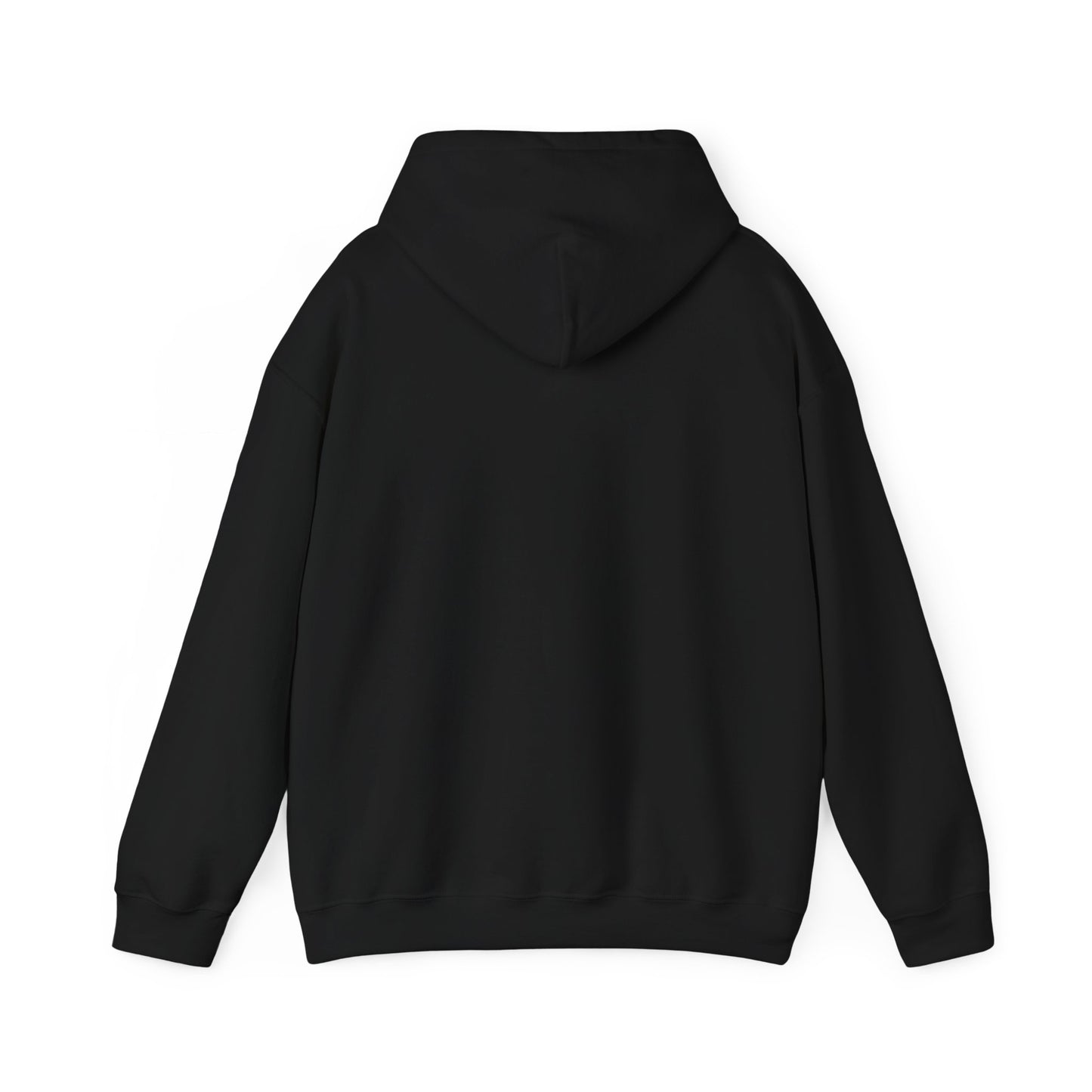 SHOOTING STAR HOODED SWEATSHIRT