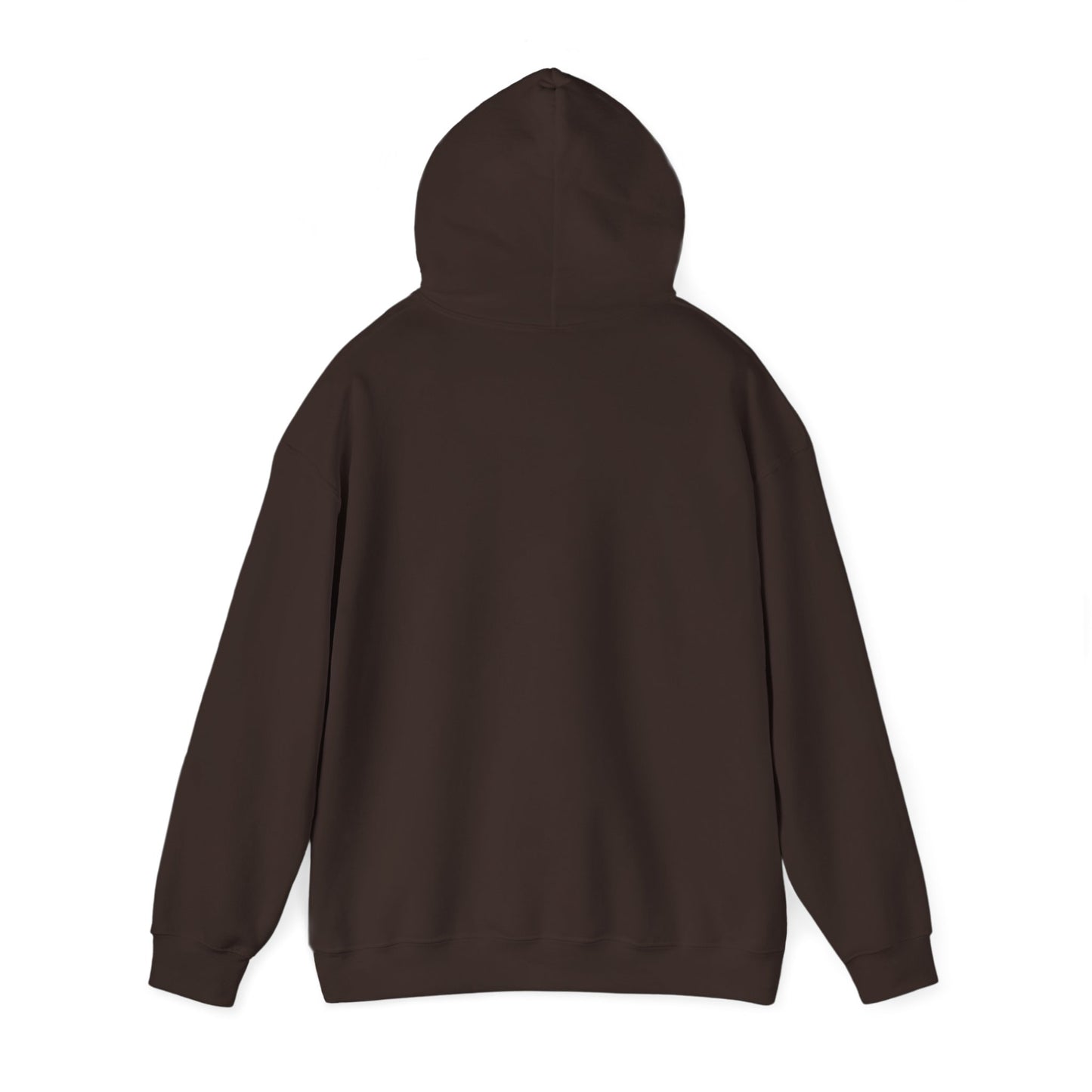 SHOOTING STAR HOODED SWEATSHIRT