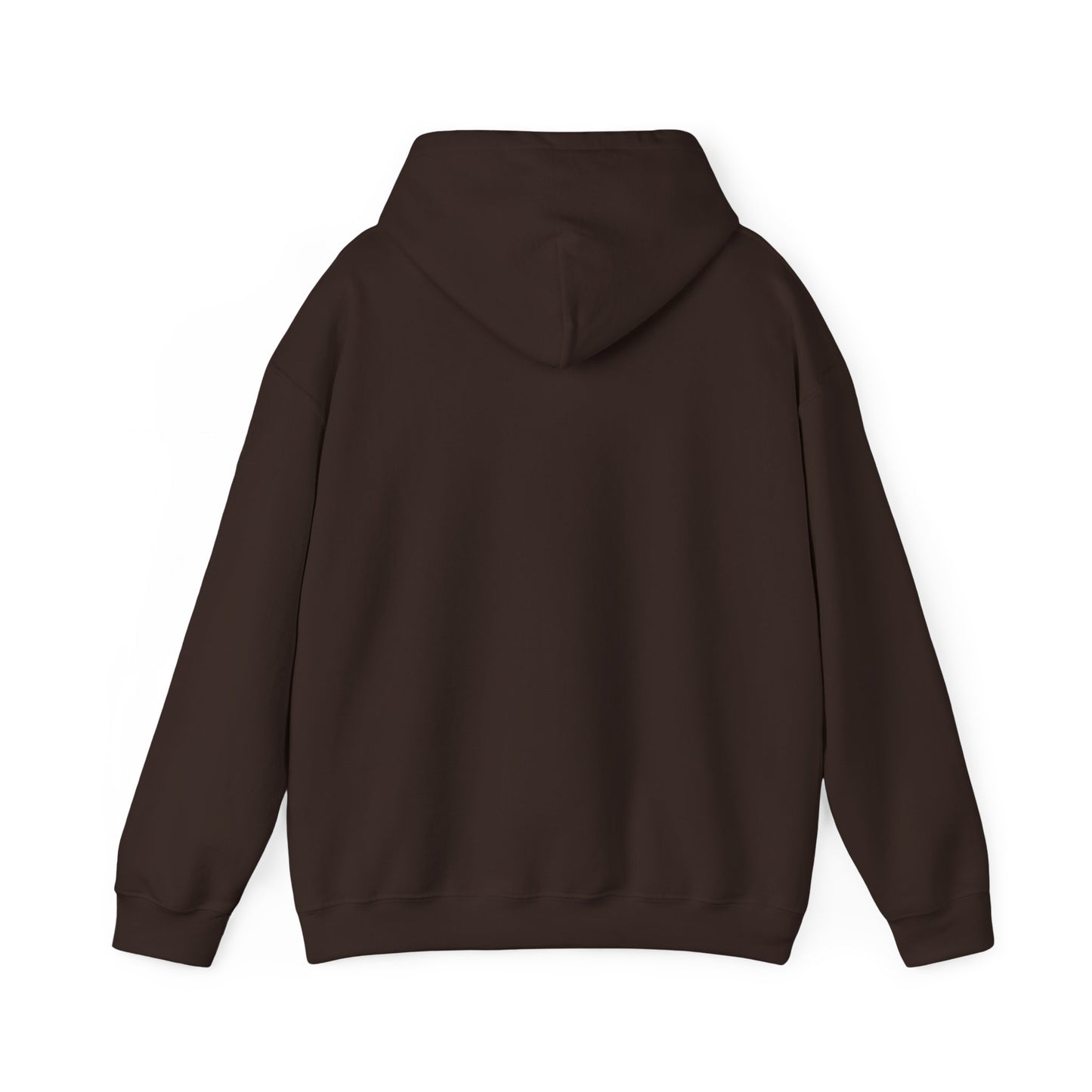 SHOOTING STAR HOODED SWEATSHIRT