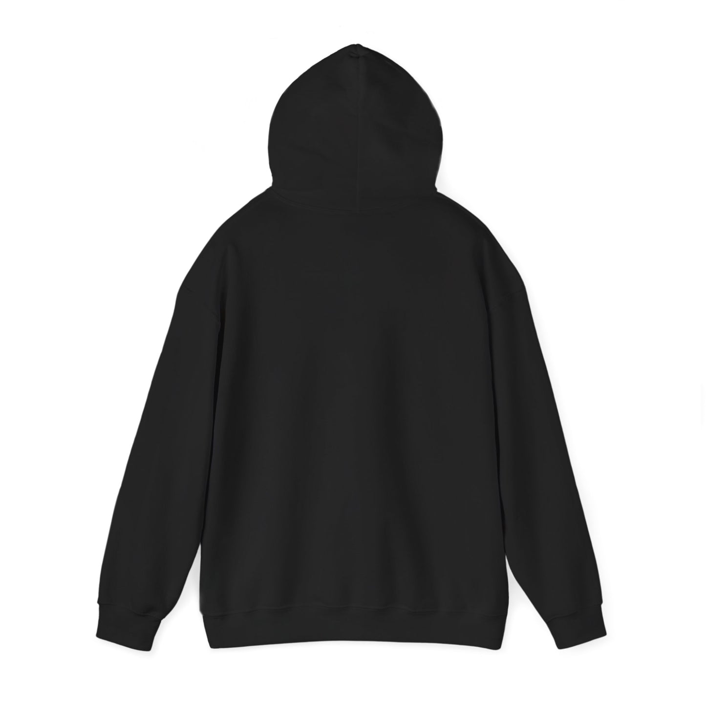SHOOTING STAR HOODED SWEATSHIRT
