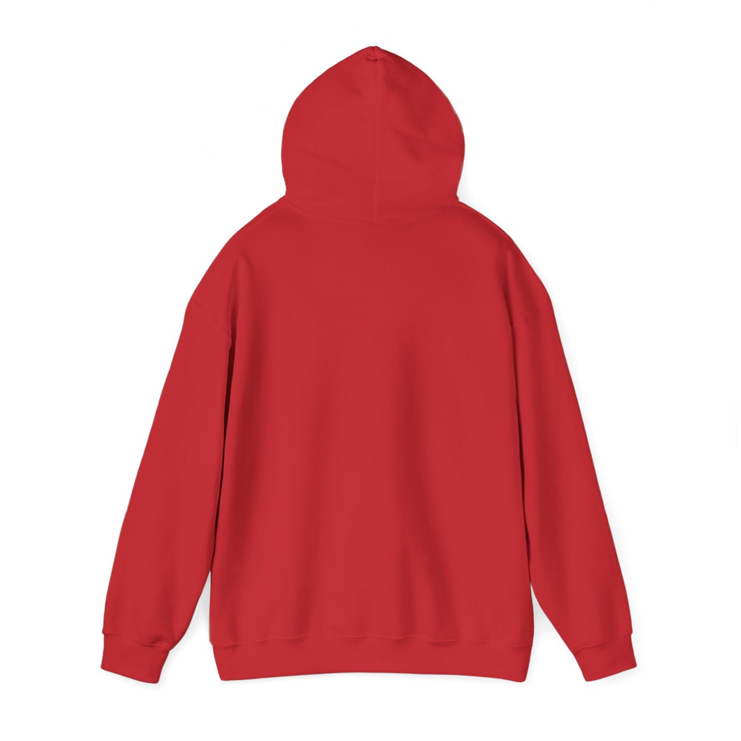 HAVE YOU SEEN THIS MAN? HOODIE