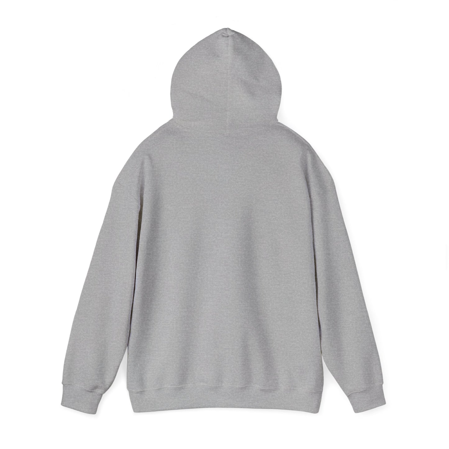 SHOOTING STAR HOODED SWEATSHIRT